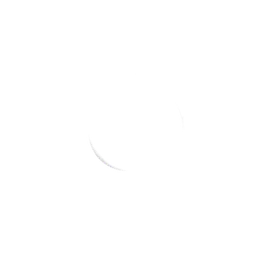 Backup Rings