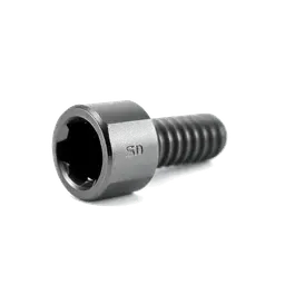 Brass-Tip Socket Head Screws