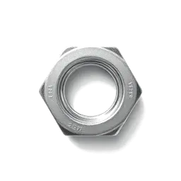 Hex Nuts