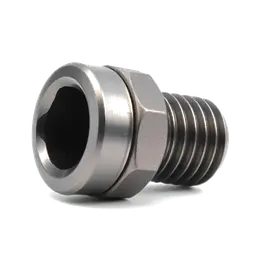 Steel Socket Head Screws with Split Lock Washer