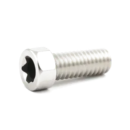 Stainless Steel Socket Head Screws
